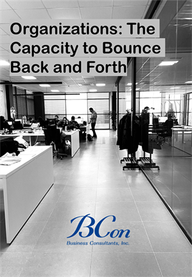 Organizations: The Capacity to Bounce Back and Forth