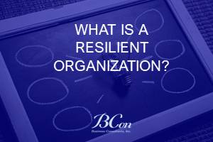What is a Resilient Organization?