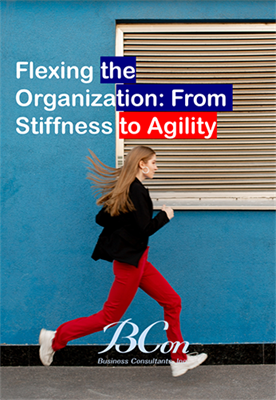 Flexing the Organization: From Stiffness to Agility