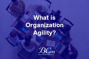 What is Organization Agility?