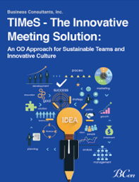 TIMeS - The Innovative Meeting Solution