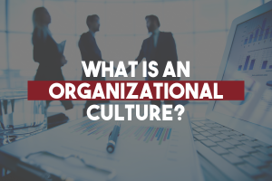 What is an Organizational Culture