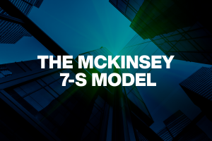 The Mckinsey 7-S Model