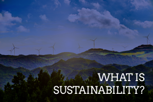 What is Sustainability