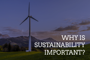 Why is Sustainability Important?