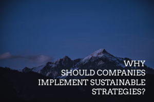 Why Should Companies Implement Sustainability Strategies?