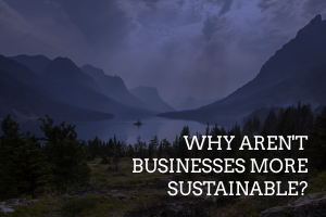 Why Aren't Businesses More Sustainable?