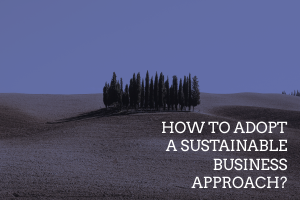 How to Adopt a Sustainable Business Approach?