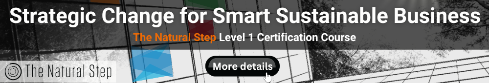 Strategic Change for Smart Sustainable Business: The Natural Step Level 1 Certification