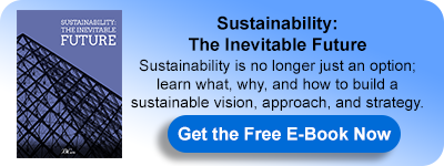 E-Book:Sustainability: The Inevitable Future 
