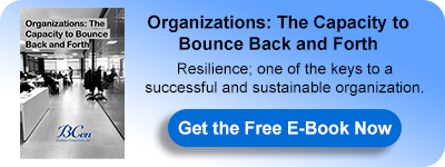 E-Book: Organizations: The Capacity to Bounce Back and Forth
 
